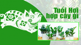 Kiến thức