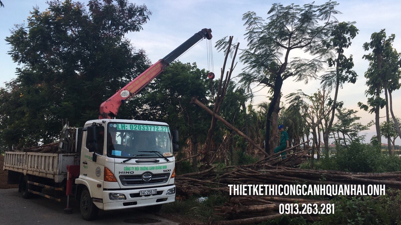 Cắt Tỉa Cây Cảnh Quảng Ninh – Kiến Tạo Nét Đẹp Tinh Hoa Cho Không Gian Của Bạn! Hotline: 0913.019.659