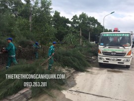 Cắt Tỉa Cây Xanh Giá Rẻ Quảng Ninh: Dịch Vụ Chuyên Nghiệp, An Toàn & Tiết Kiệm Cùng Công Ty Thiết Kế Cảnh Quan Hạ Long – Gọi Ngay 0913.019.659!