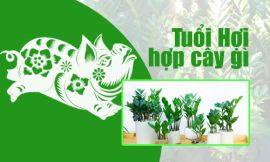 Kiến thức