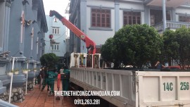 Chăm Sóc và Cắt Tỉa Cây Xanh Quảng Ninh: Đảm Bảo Mảng Xanh Bền Vững Cùng CÔNG TY THIẾT KẾ THI CÔNG CẢNH QUAN HẠ LONG