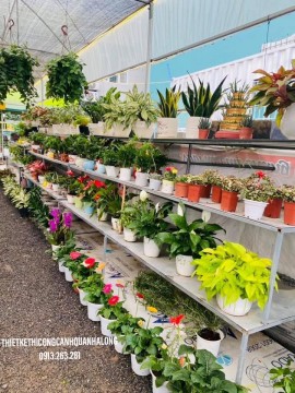 Trang Trí Nội Thất Quán Cà Phê Quảng Ninh – Nơi Thăng Hoa Cảm Xúc & Nâng Tầm Thương Hiệu! Hotline: 0913.019.659