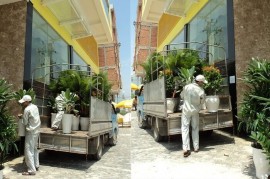 Tiểu Cảnh Đẹp Quảng Ninh: Nâng Tầm Không Gian Sống Cùng CÔNG TY THIẾT KẾ THI CÔNG CẢNH QUAN HẠ LONG