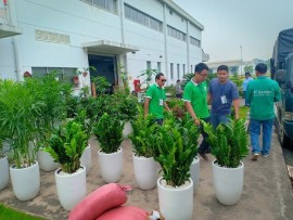 Tìm Đơn Vị Thi Công Cảnh Quan Sân Vườn Quảng Ninh Uy Tín – Lựa Chọn CÔNG TY THIẾT KẾ THI CÔNG CẢNH QUAN HẠ LONG!