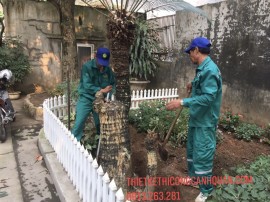 Dịch Vụ Cắt Tỉa Cây Xanh Quảng Ninh Chuyên Nghiệp & Thiết Kế Cảnh Quan Đẳng Cấp - Gọi Ngay! 0913.019.659