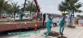 Mẫu Tiểu Cảnh Sân Vườn Đẹp Quảng Ninh: Biến Không Gian Của Bạn Thành Tác Phẩm Nghệ Thuật Cùng Công Ty Thiết Kế Cảnh Quan Hạ Long – Gọi Ngay 0913.019.659!