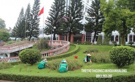Làm Tiểu Cảnh Sân Vườn Quảng Ninh: Điểm Nhấn Tinh Tế Cho Không Gian Sống Cùng CÔNG TY THIẾT KẾ THI CÔNG CẢNH QUAN HẠ LONG