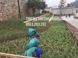 Báo Giá Cắt Tỉa Cây Xanh Quảng Ninh – Dịch Vụ Chuyên Nghiệp Từ Cảnh Quan Hạ Long