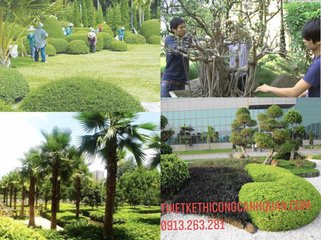 Thi Công Sân Vườn Tại Quảng Ninh – Biến Ước Mơ Về Không Gian Xanh Hoàn Hảo Thành Hiện Thực! Hotline: 0913.019.659