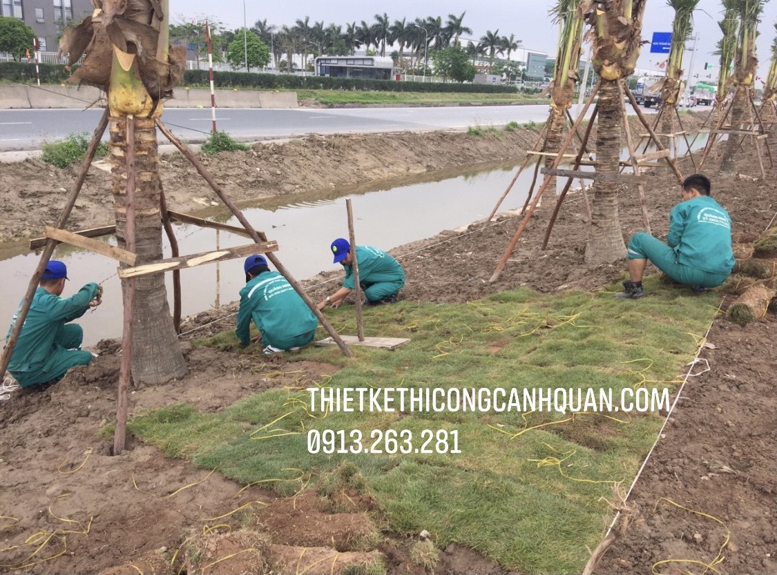 Biến Không Gian Xanh Quảng Ninh Thành Tuyệt Tác Nghệ Thuật với CÔNG TY THIẾT KẾ THI CÔNG CẢNH QUAN HẠ LONG - Gọi Ngay: 0913.019.659