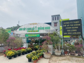 KHÁM PHÁ CÁC MẪU CÂY CẢNH THỊNH HÀNH NHẤT NĂM 2021 tại BÁN CÂY XANH SỐ 1 HẠ LONG