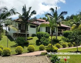 Thiết Kế & Thi Công Tiểu Cảnh Sân Vườn Quảng Ninh Đẹp Mê Ly - Gọi Ngay! 0913.019.659