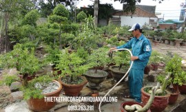 Thi Công Cảnh Quan Sân Vườn Trọn Gói Quảng Ninh – Giải Pháp Hoàn Hảo Cho Không Gian Xanh Của Bạn