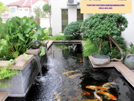 Tiểu Cảnh Sân Vườn tại Uông Bí – Kiến Tạo Không Gian Xanh Đẳng Cấp Cùng CÔNG TY THIẾT KẾ THI CÔNG CẢNH QUAN HẠ LONG