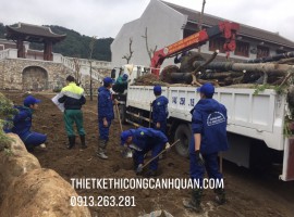 DỊCH VỤ ĐÁNH CHUYỂN CÂY XANH – CÔNG TY THIẾT KẾ VÀ THI CÔNG CẢNH QUAN HẠ LONG