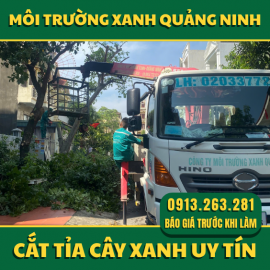 Dịch Vụ Cắt Tỉa Cây Xanh Quảng Ninh Chuyên Nghiệp, An Toàn Và Sạch Sẽ