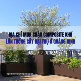 Bán Chậu Composite Khổ Lớn Trồng Cây Đại Thụ Giá Tốt Nhất Quảng Ninh