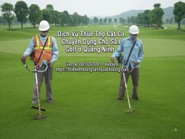 Dịch Vụ Thuê Thợ Cắt Cỏ Chuyên Dụng Cho Sân Golf, Sân Bóng Đá Mini: Tiêu Chuẩn Vàng Cho Mặt Cỏ Đẳng Cấp