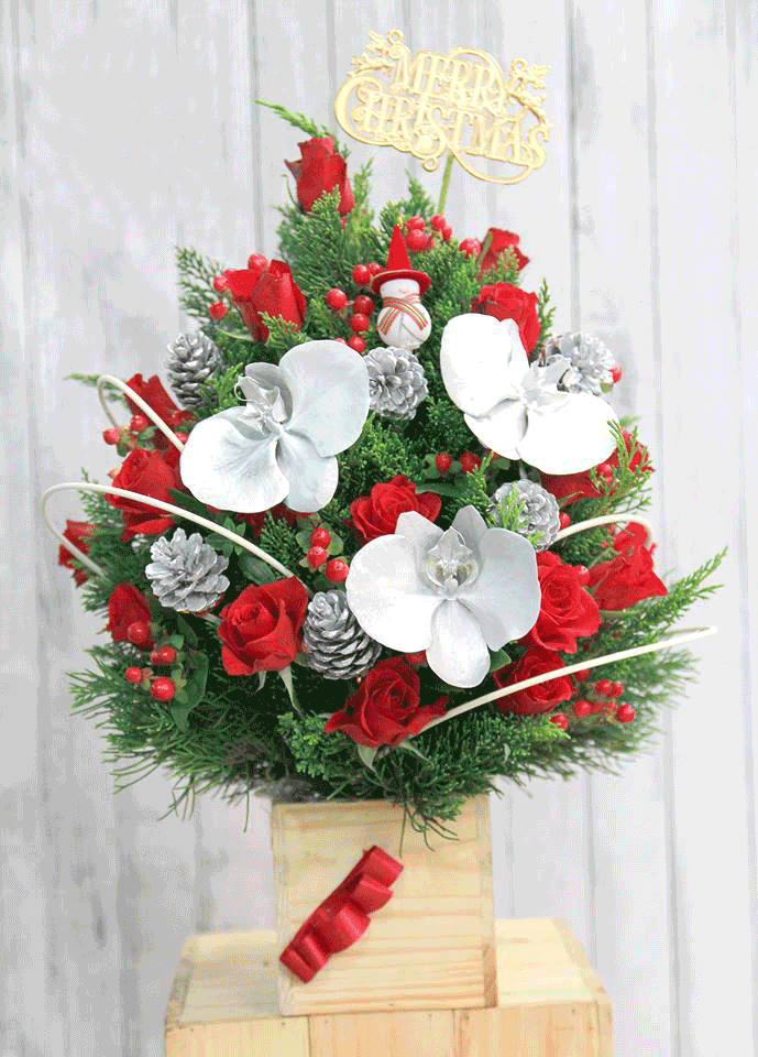 HOA ĐẸP HẠ LONG TẶNG MÙA GIÁNG SINH AN LÀNH