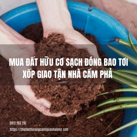 Mua Đất Hữu Cơ Sạch Đóng Bao Tơi Xốp Giao Tận Nhà Cẩm Phả – Giải Pháp Trọn Gói Cho Khu Vườn Xanh Mát