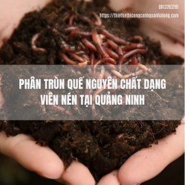 Phân Trùn Quế Nguyên Chất Dạng Viên Nén Tại Quảng Ninh – Bí Quyết Dinh Dưỡng Vàng Cho Không Gian Xanh