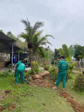 Thi công trồng cây xanh chuyên nghiệp tại Quảng Ninh