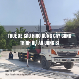 Thuê Xe Cẩu Hino Bứng Cây Công Trình Dự Án Uông Bí Uy Tín