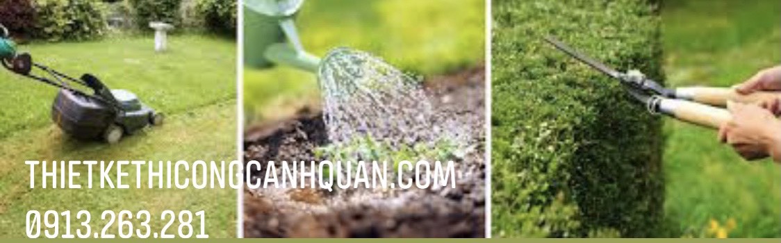 CHĂM SÓC CẢNH QUAN CHUYÊN NGHIỆP TẠI QUẢNG NINH