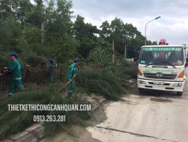 CHUYÊN CẮT TỈA CÂY XANH NHÀ DÂN TẠI HẠ LONG GIÁ RẺ - AN TOÀN