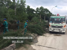 DỊCH VỤ CHẶT HẠ CÂY XANH TẠI QUẢNG NINH