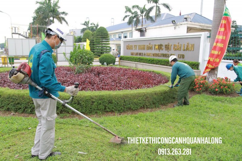 DUY TU, CHĂM SÓC CÂY XANH CẢNH QUAN CÁC CÔNG TRÌNH TẠI QUẢNG NINH