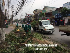 ĐÁNH CHUYỂN CÂY BÓNG MÁT CHO NHÀ DÂN TẠI PHƯỜNG HỒNG HẢI