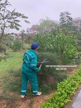 CẮT TỈA, DỌN CÀNH CÂY ĐỔ  NGÀY MƯA BÃO TẠI KHU DU LỊCH BÃI CHÁY