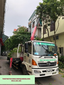 CẮT TỈA CÂY XANH ĐÔ THỊ TẠI HẠ LONG GIÁ RẺ - AN TOÀN