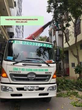 DỊCH VỤ CẮT TỈA CÂY XANH AN TOÀN - SẠCH SẼ TẠI MẠO KHÊ - 0913.263.281