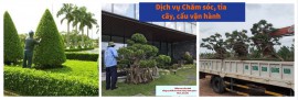 DỊCH VỤ CHĂM SÓC, BẢO DƯỠNG CẢNH QUAN HOÀN HẢO SỐ 1 TẠI QUẢNG NINH