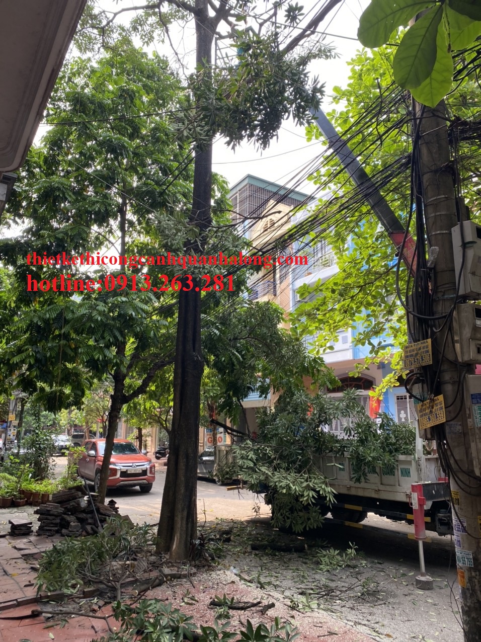 CẮT TỈA CÀNH CÂY VƯỚNG VÀO LƯỚI ĐIỆN KHU DÂN CƯ SAU CHỢ HẠ LONG Liên hệ: 0913.263.281