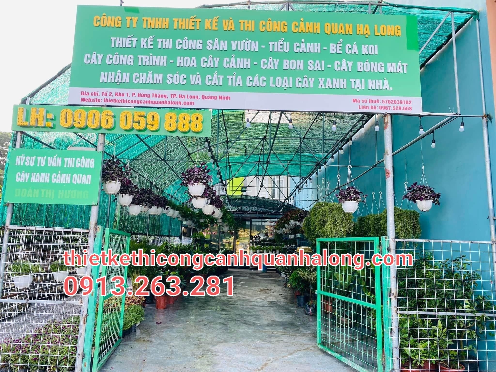 ĐỊA CHỈ CUNG CẤP CÂY NỘI THẤT VĂN PHÒNG GIÁ RẺ TẠI HẠ LONG LIÊN HỆ: 0913.263.281